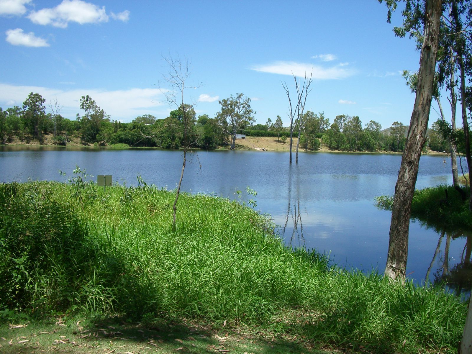 Claude Wharton Weir